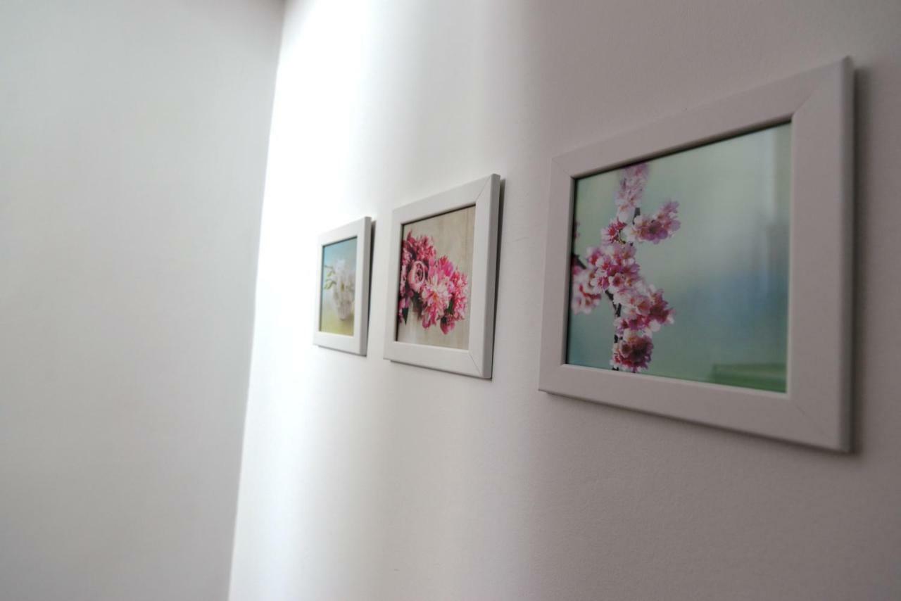 Apartments And Rooms Oliva ツレス エクステリア 写真